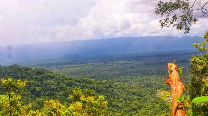 Perbukitan Hijau