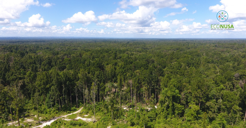 Hutan Tropis Klabili
